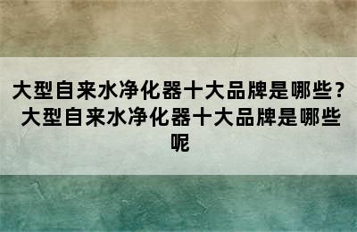 大型自来水净化器十大品牌是哪些？ 大型自来水净化器十大品牌是哪些呢